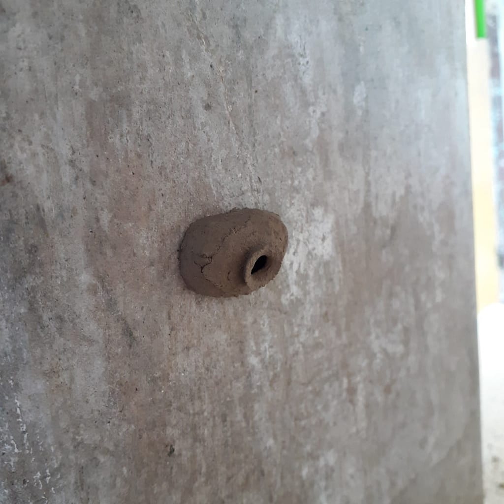 Das gesamte Bild wird von einer Betonwand eingenommen, an der ein lehmiges Gebilde klebt, das einer Tonvase ähnelt und eine vasenähnliche Öffnung besitzt.